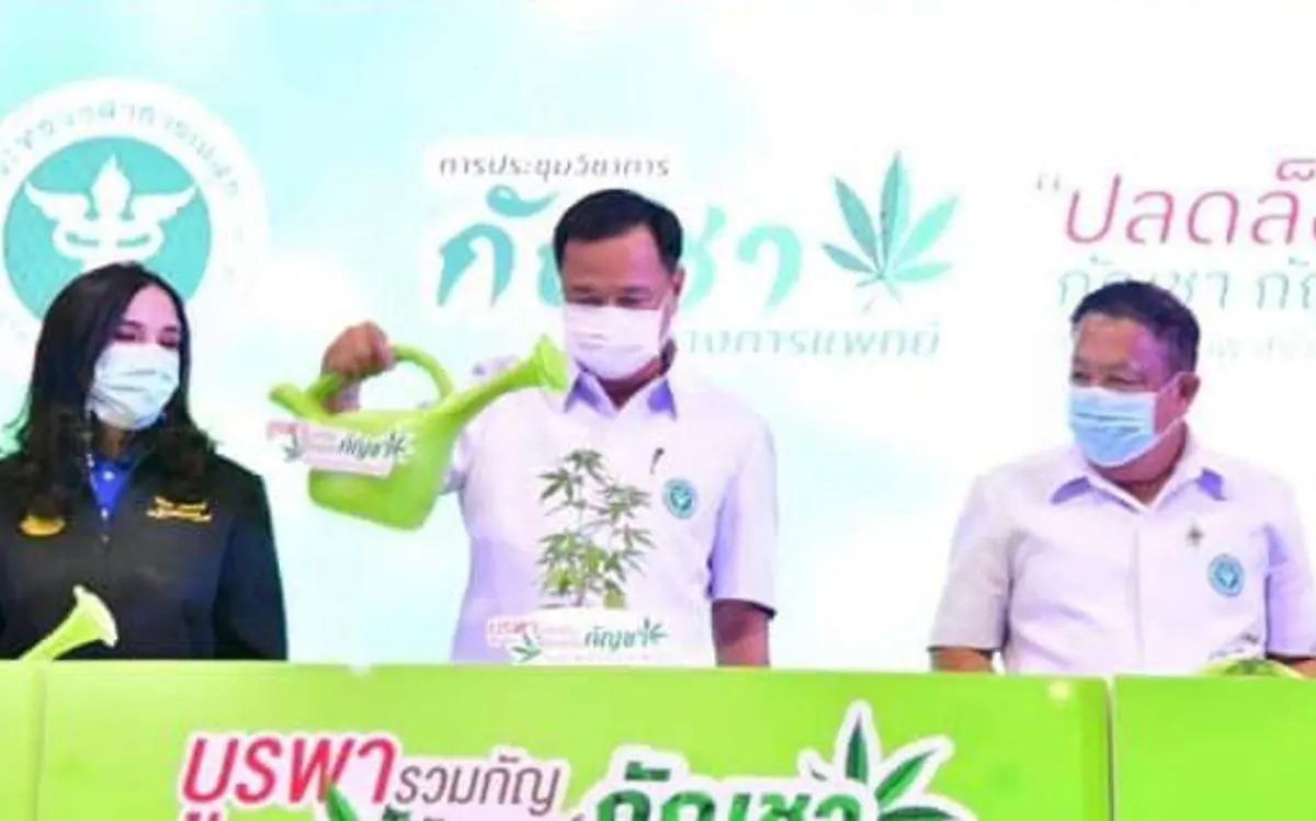 Ministro de Tailandia con planta de marihuana 0